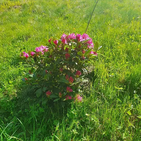 منزل للإقامة Jedrus Na 