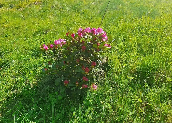 בית אירוח Jedrus Na 