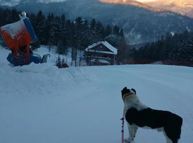 בית אירוח Jedrus Na 